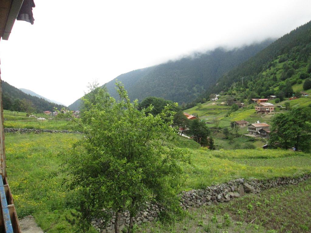 Kamalac Zeren Pansiyon المظهر الخارجي الصورة